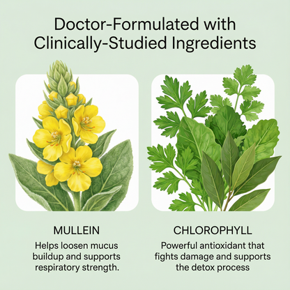 BetterLungs® Mullein + Chlorophyll